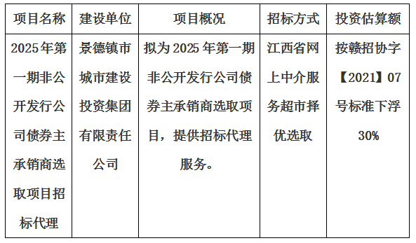 2025年第一期非公開(kāi)發(fā)行公司債券主承銷(xiāo)商選取項(xiàng)目招標(biāo)代理計(jì)劃公告
