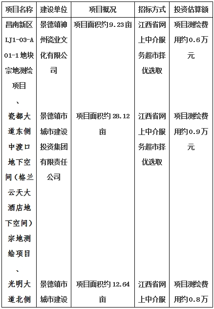景德鎮(zhèn)市昌南新區(qū)LJ1-03-A01-1地塊、瓷都大道東側(cè)中渡口地下空間（格蘭云天大酒店地下空間）、光明大道北側(cè)利民路西側(cè)地下空間（青少年宮地下空間）、規(guī)劃二路北側(cè)地下空間地塊二（加速基地地下空間）、規(guī)劃二路北側(cè)地下空間地塊一（加速基地地下空間）、景德大道南側(cè)天寶橋西側(cè)地塊、景興大道東側(cè)如意路北側(cè)地下空間(社會公共服務(wù)
