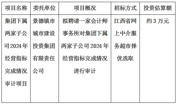 集團(tuán)下屬兩家子公司2024年經(jīng)營指標(biāo)完成情況審計項(xiàng)目計劃公告